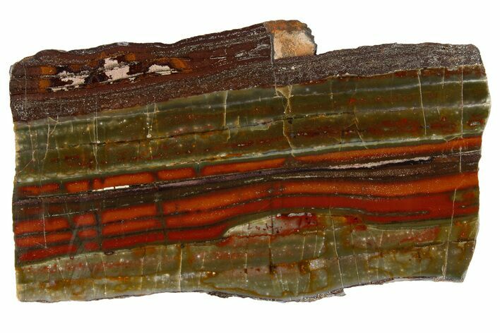 Stromatolite Slice - Pilbara, Australia ( Billion Years) #180179